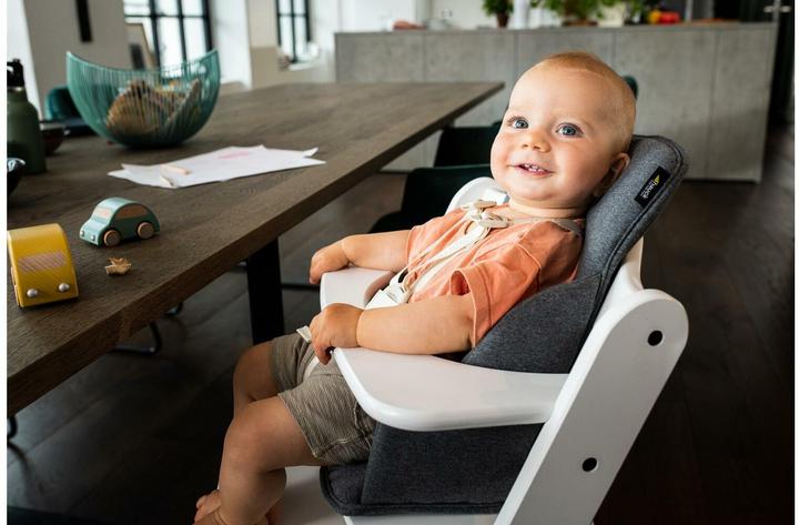 Immagine prodotto Hauck Alpha accogliente Comfort