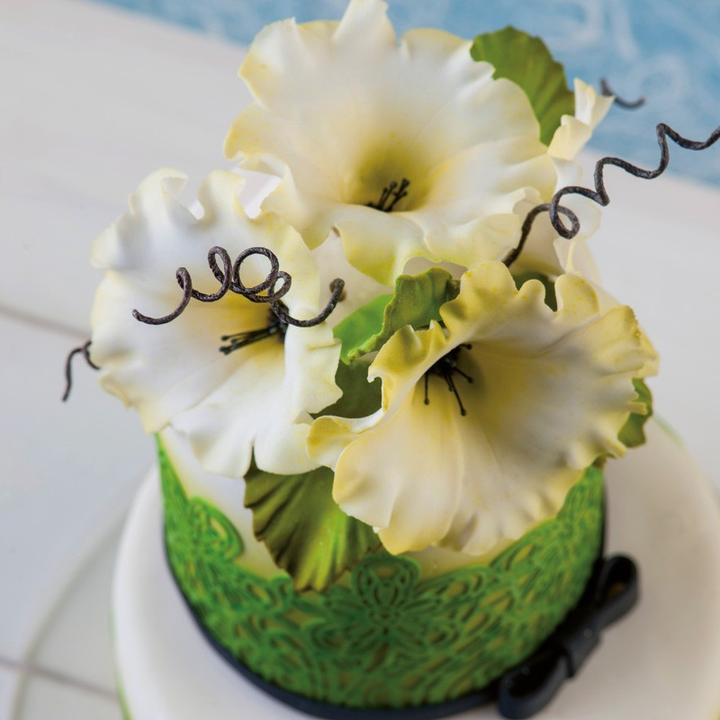 Produktbild Martellato Surfinia / Petunien Ausstecher