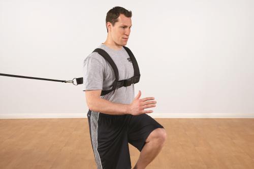 Actual product image Perform Better Pro Padded Harness shoulder harness