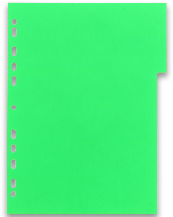 Actual product image Oxford Divider Coloured A4 Pp 12 Tabs