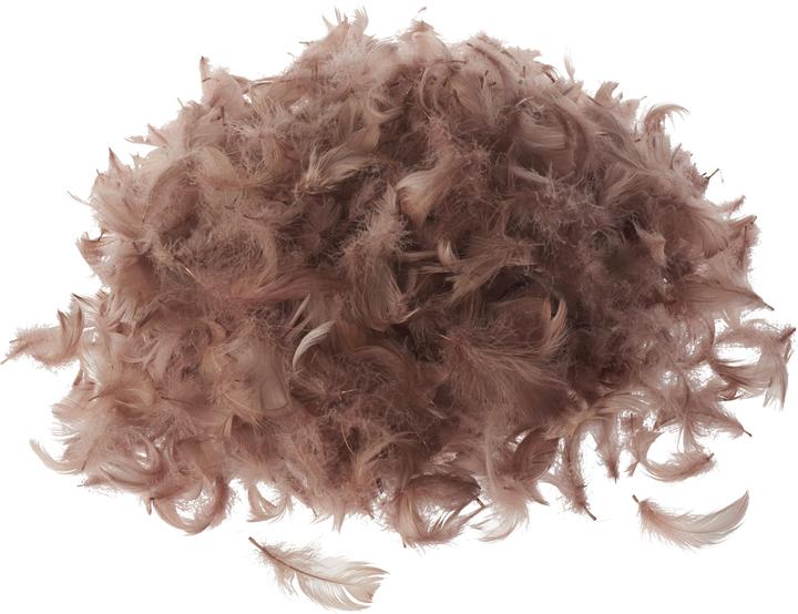 Immagine prodotto VBS Piume d'oca, 20 g