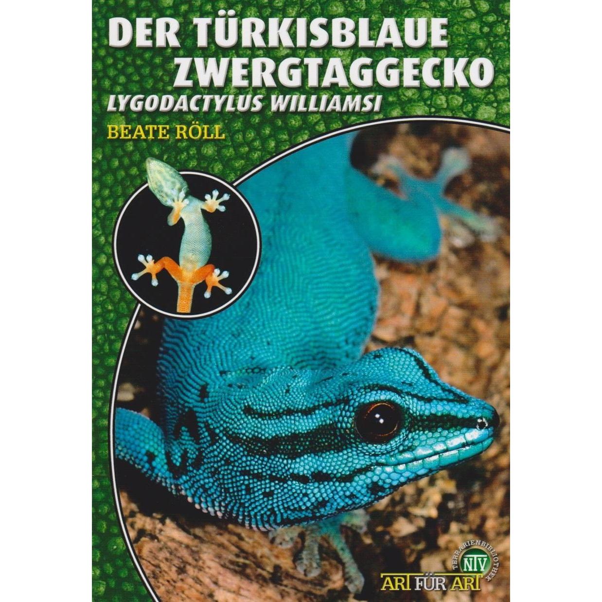 Taggeckos 13. Der Türkisblaue Zwerggecko, Ratgeber von Beate Röll