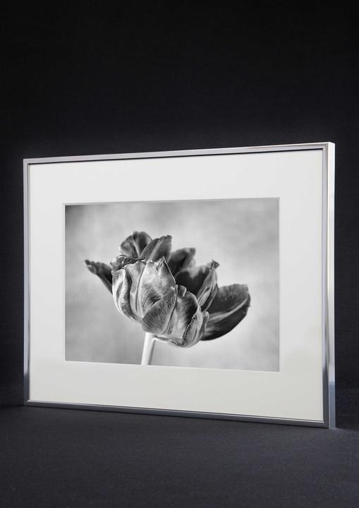 Produktbild Nielsen Accent (30 x 40 cm)
