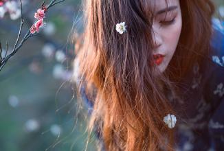 Immagine prodotto Venus Optic Laowa 105mm f/2 STF Canon (Canon EF, APS-C / DX, Full frame)