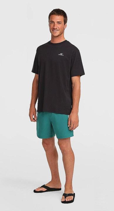 Image du produit O'Neill Beachshorts Logo (M)