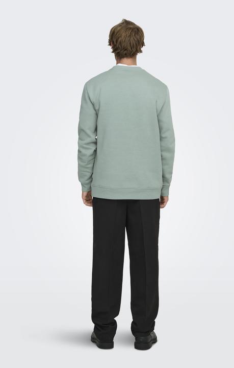 Produktbild Only & Sons Onsconnor Life Reg Crew Neck Sweat Noos (M)