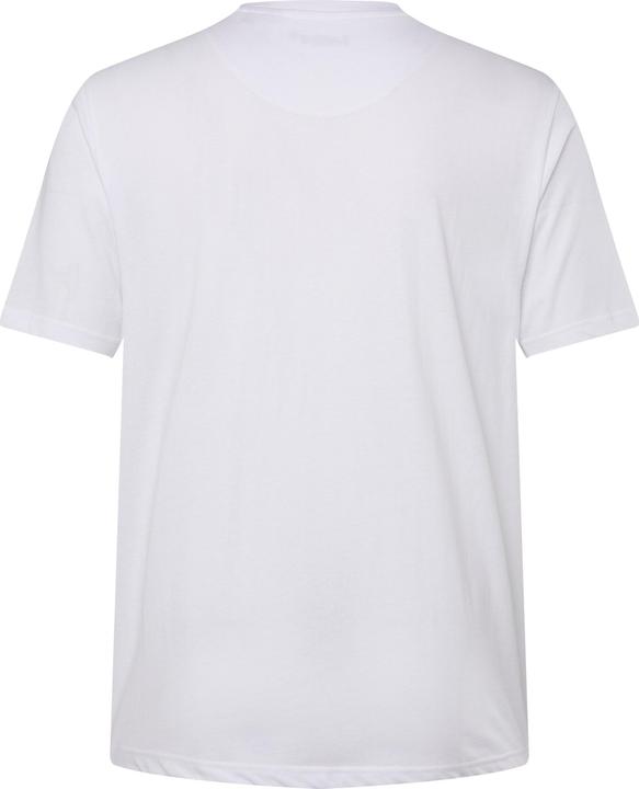 Actual product image Men+ T-Shirt, Basic, Halbarm, V-Ausschnitt (L)