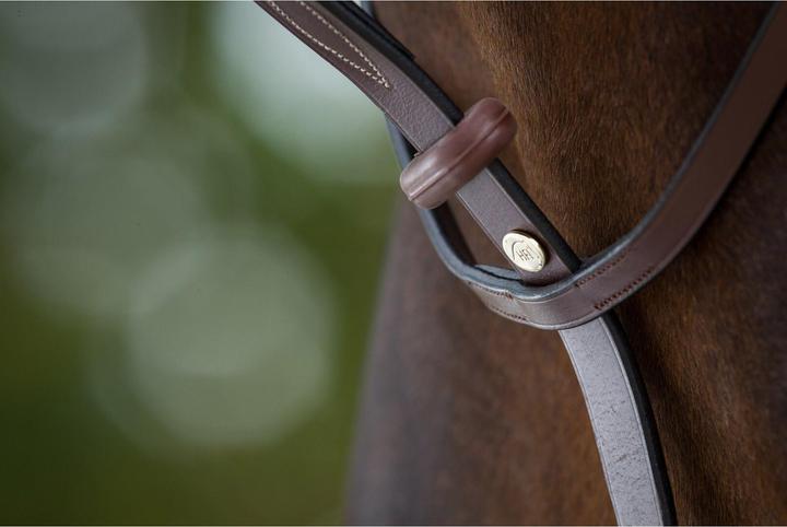 Produktbild HFI Master Martingalpfeil