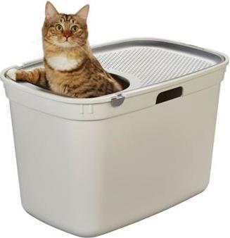 Actual product image AniOne Top-entry