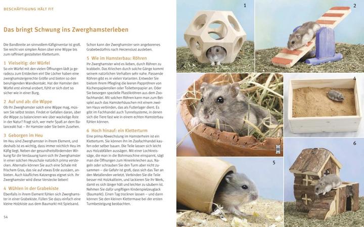 Actual product image Zwerghamster (German, Peter Fritz, 2014)
