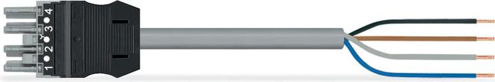 Actual product image Wago confect. Connection cable (4 m)