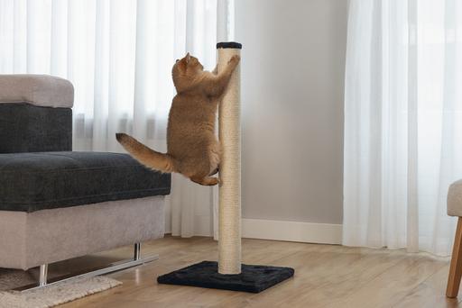 Image du produit Beeztees Bz Arbre à Chat Gina XL Noir 4 (90 cm, Noir)