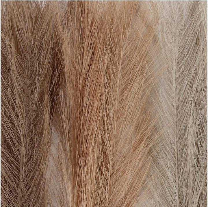 Actual product image Creativ Company Pampas Grass (Dried flowers)
