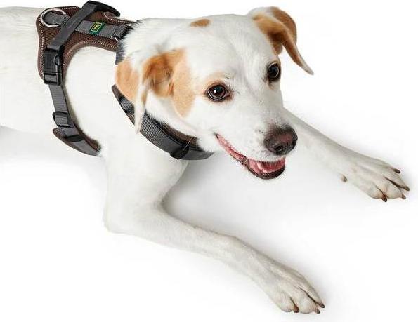 Produktbild Hunter Geschirr Maldon (38, 39, 40, 41, 42, 43, 44, 45, 46, 47, 48, 49, 50, 52, 54, 56, 58, 60, 62, Hund, Allgemein)