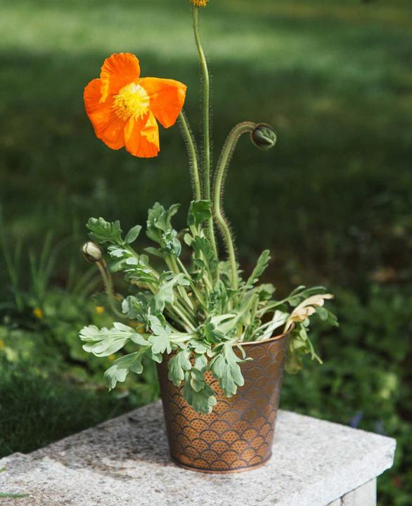 Produktbild Esmée Blumentopf / Übertopf Orient, Blech (16 cm)