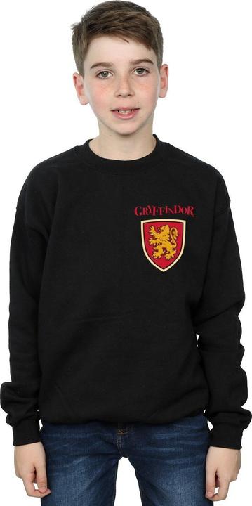Produktbild Gryffindor Lion Faux Pocket Sweatshirt Jungen (152, 158)