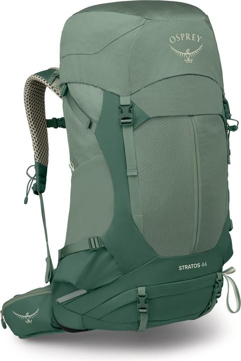 Verde foglia di pino