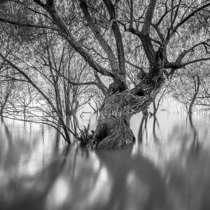 Actual product image Venus Optic Fixed focal length 10 mm F/2 Zero-D (Micro Four Thirds, Micro Four Thirds)