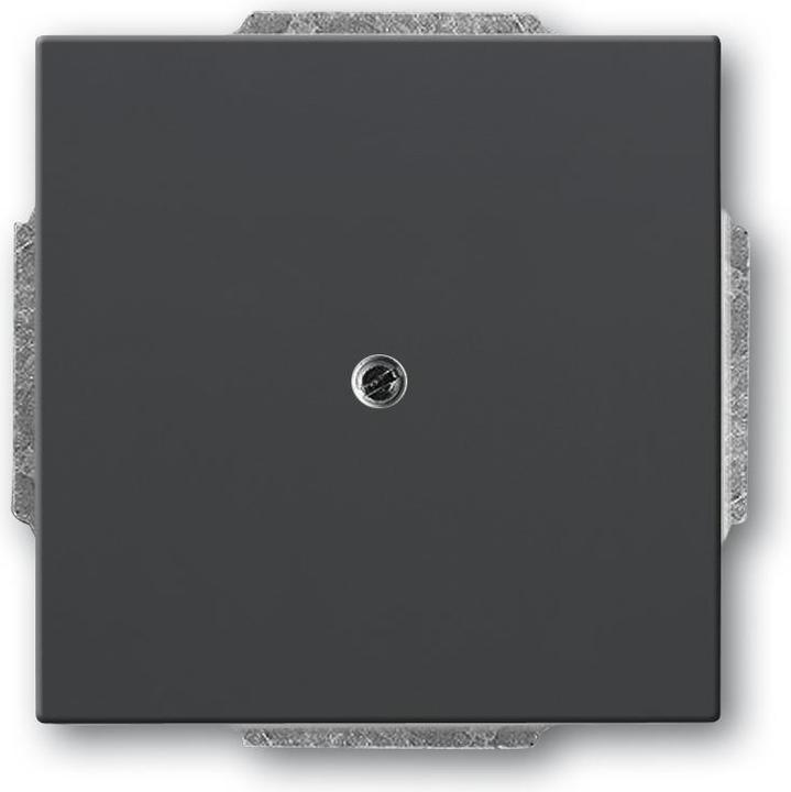 Image du produit Busch-Jaeger Disque central