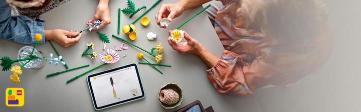 Actual product image LEGO Small summer bouquet (10347, LEGO Botanical)