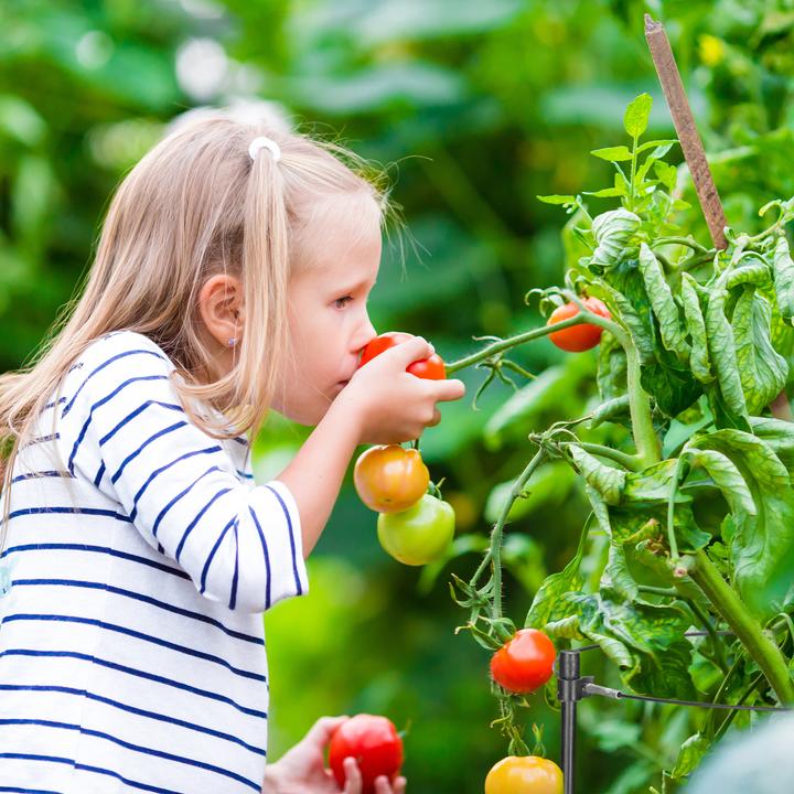 Image du produit Relaxdays 4x support pour plantes grimpantes (22 cm, 22 cm)