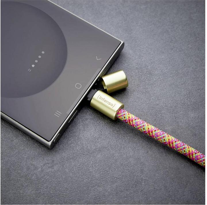 Image du produit Intenso Handykette als Lade- + Datenkabel USB-C bis 1,65m neon mix (1.65 m, USB 2.0, 60 W)