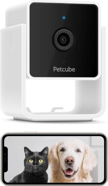Immagine prodotto Petcube Telecamera per animali domestici (Catmint giocattolo)