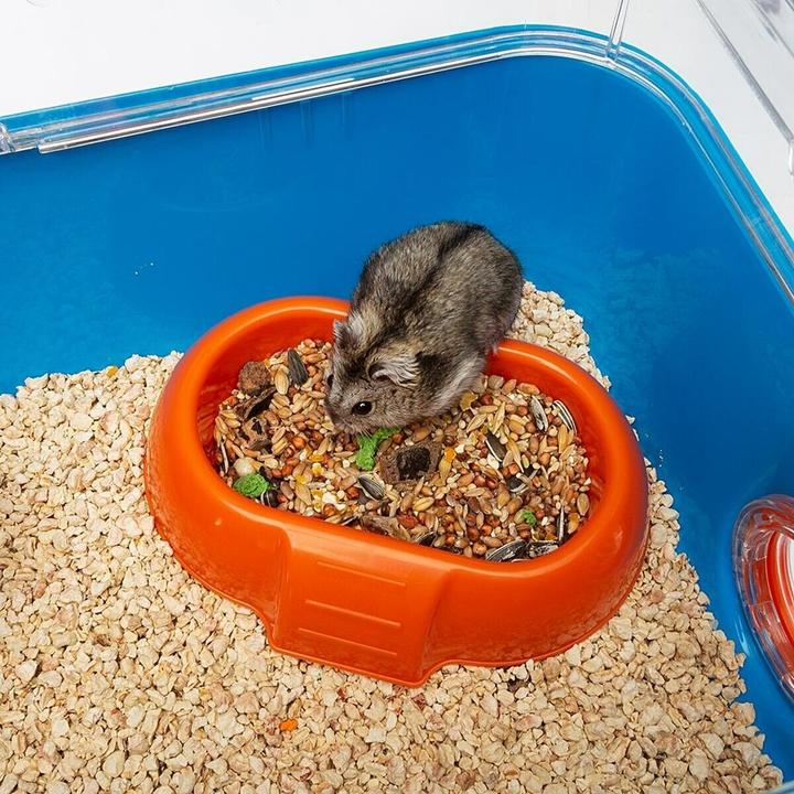Actual product image Ferplast Rodent for rodents COMBI 2 39,5X29,5X24 cm SPEC