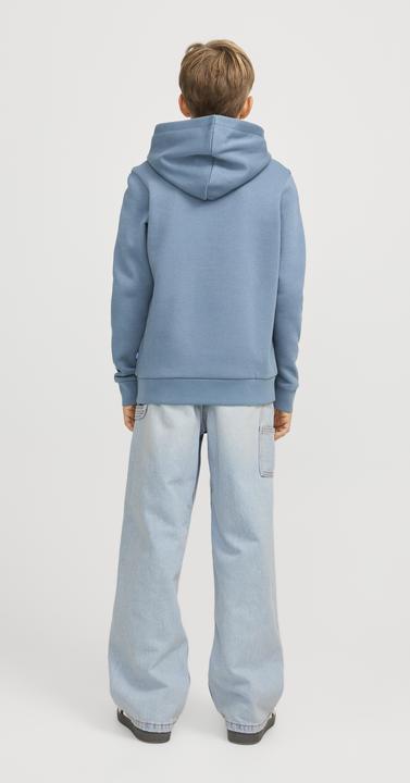 Produktbild Jack & Jones Jjialex Jjicarpenter Akm 142 Sn Jnr (158)