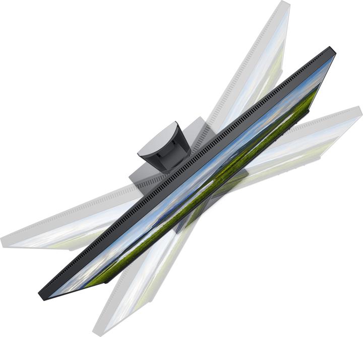 Actual product image Dell P2421 (1920 x 1200 pixels, 24.10")