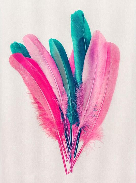 Image du produit Trenddeko Bouquet de plumes (192 x 260 cm)