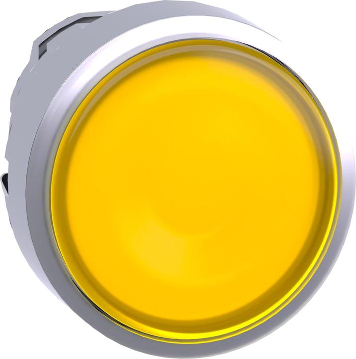 Produktbild Schneider Electric Illuminated Pushbutton Head