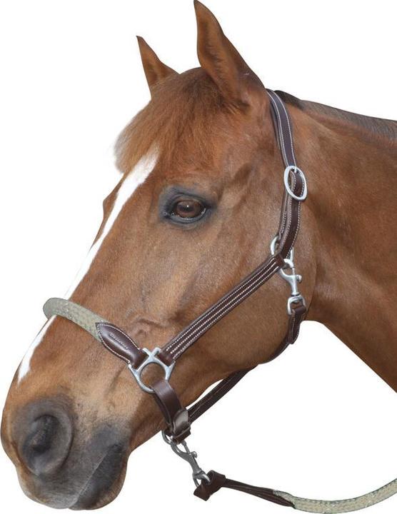Produktbild Canter Halfter aus Leder