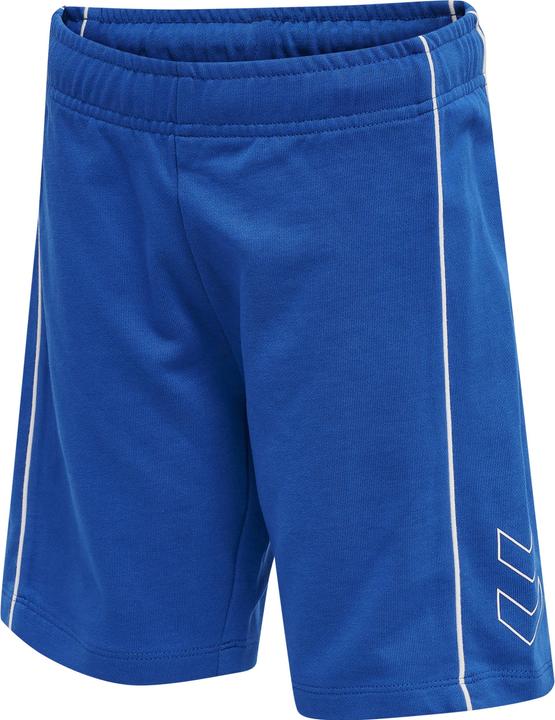 hummel Ditmer Shorts