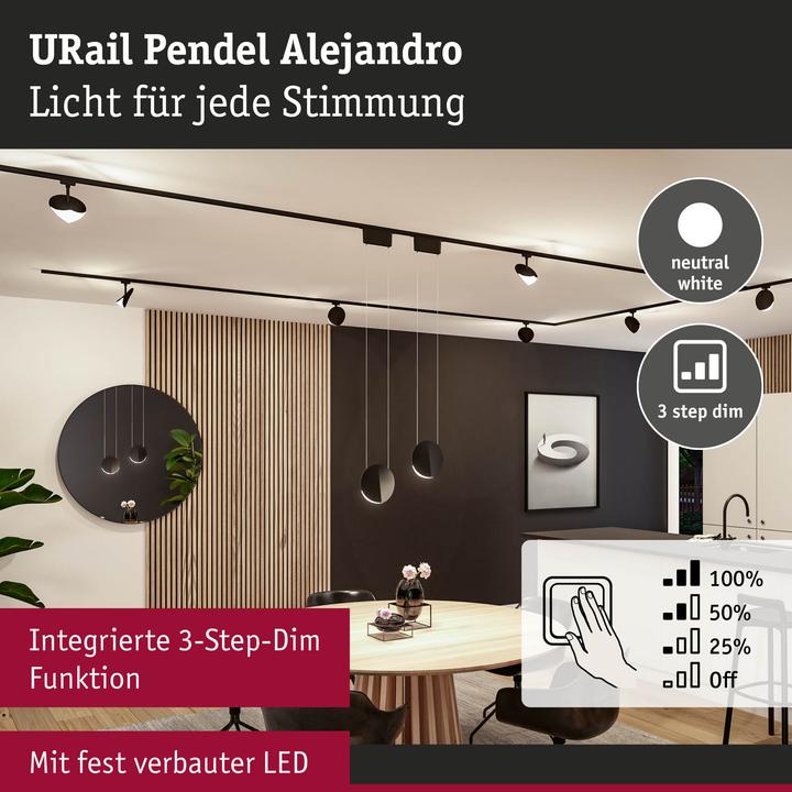 Actual product image Paulmann URail pendant Alejandro (1000 lm)