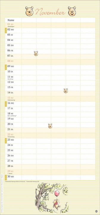 Actual product image Winnie the Pooh (21 x 45 cm, Hardcover, German)