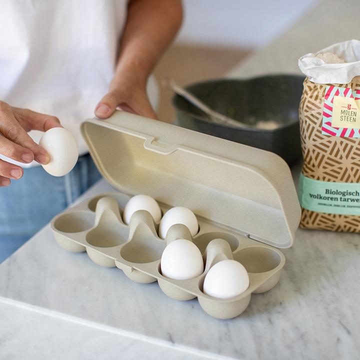 Actual product image Koziol Eggbox To Go (2.37 l)