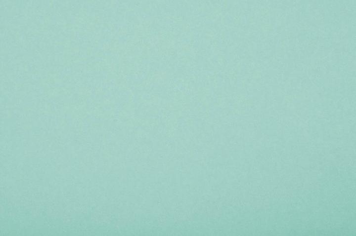 Actual product image Folia Photo cardboard, (W)500 x (H)700 mm, 300 g/sqm, mint (300 g/m², 10x)