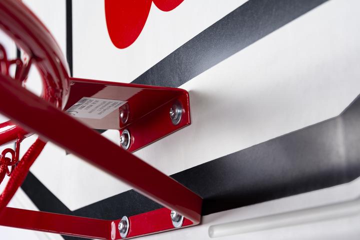 Actual product image Wilson Basketball hoop