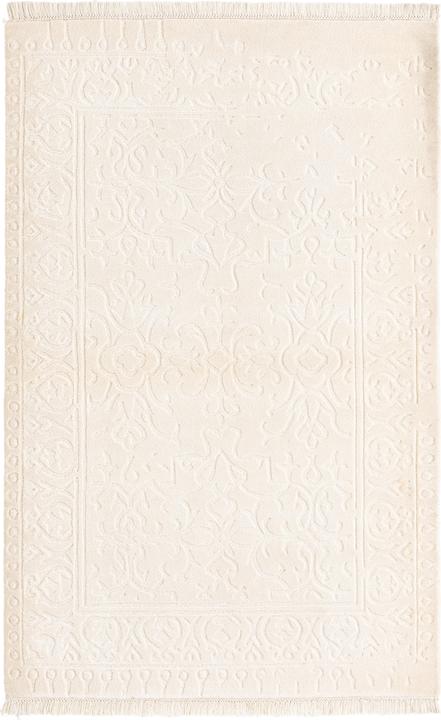 Image du produit Vidal Darya-Indian (99 x 152 cm)