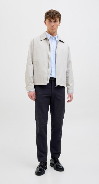 Actual product image Jack & Jones Jprstan Seersucker Trouser (48)