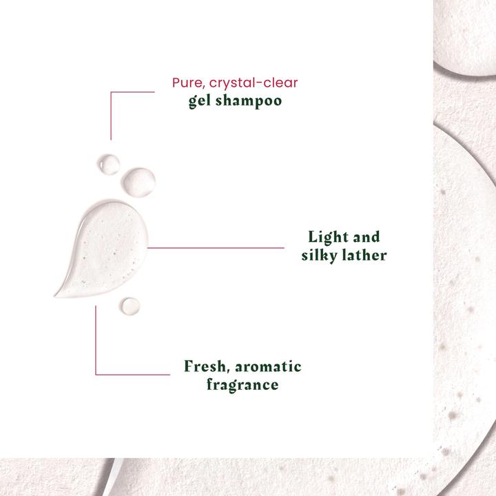 Produktbild Rene Furterer Neopur Shampoo fettige Schuppen (Flüssiges Shampoo, 150 ml)