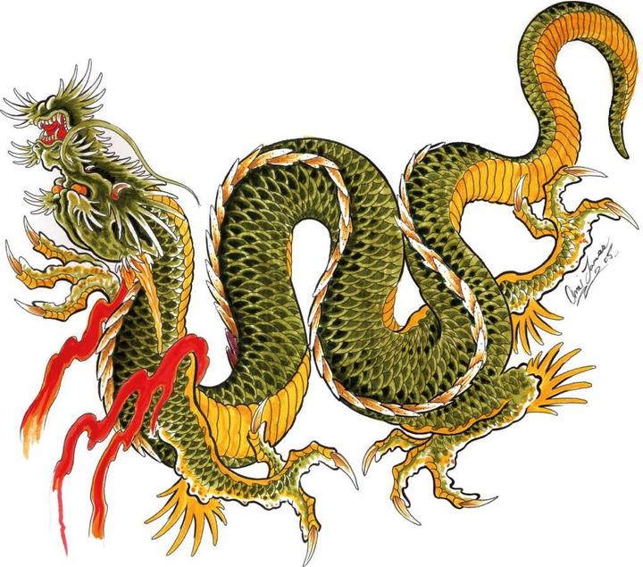 Image du produit Miami Ink Dragon (60 x 57 cm)