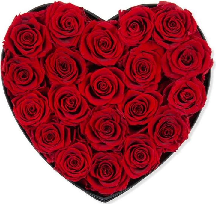 Image du produit TOP Rosenbox (14 cm)