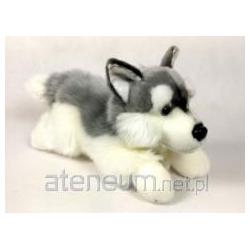 Sunday Bikes Husky Hund 30cm 02882 (30 cm)