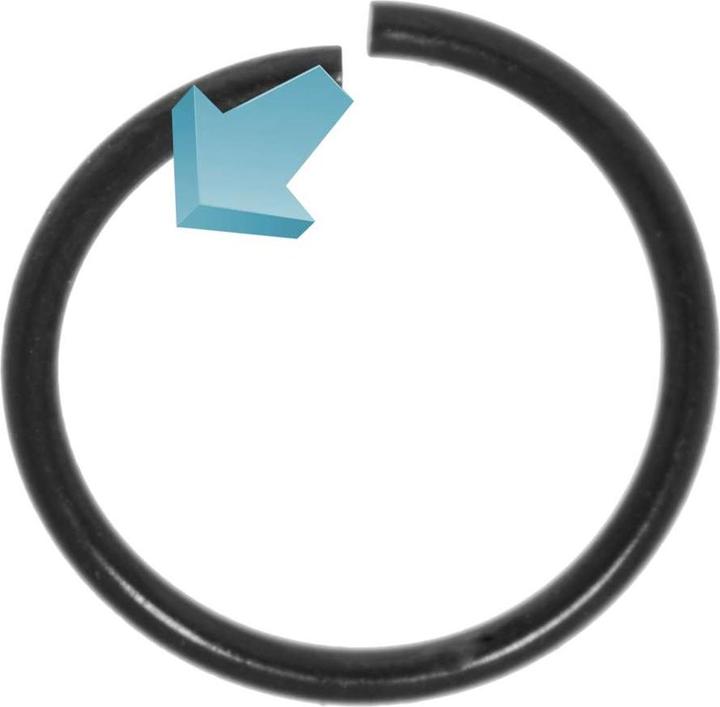 Immagine prodotto Bijouteria Nasenring (Acciaio inossidabile, Rivestimento PVD)