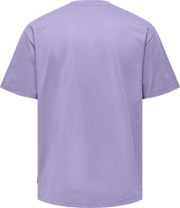 Immagine prodotto Only & Sons Onsfred Life Rlx Ss Tee Noos (S)
