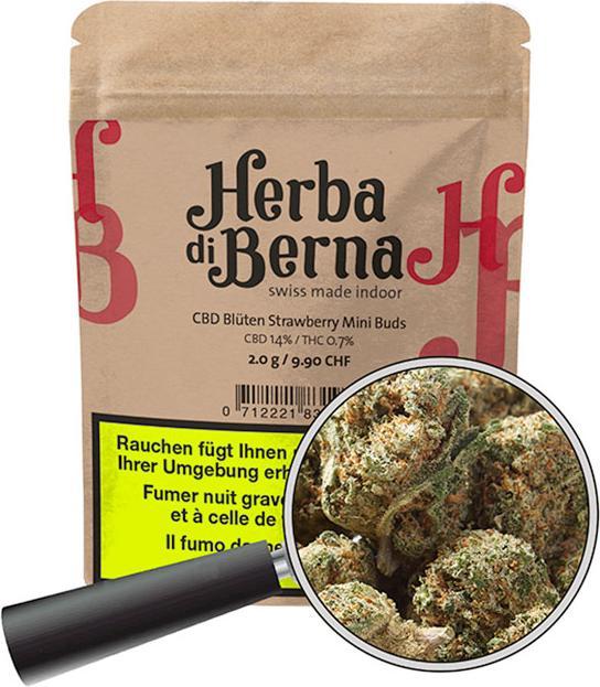 Produktbild Herba di Berna Erdbeerli Mini Buds (42 g, Indoor)