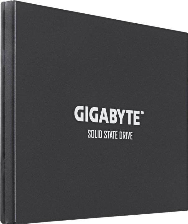 Produktbild Gigabyte GP-GSTFS30256GTTD (256 GB, 2.5")
