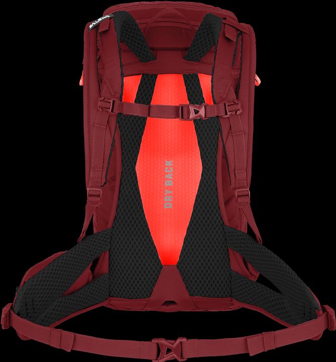 Actual product image Salewa Alp Trainer L Backpack Da (20 l)